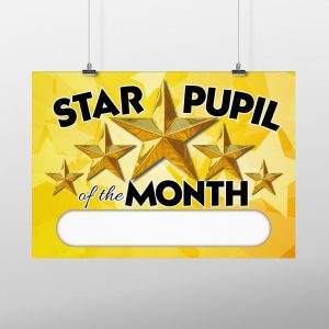 Star of the month